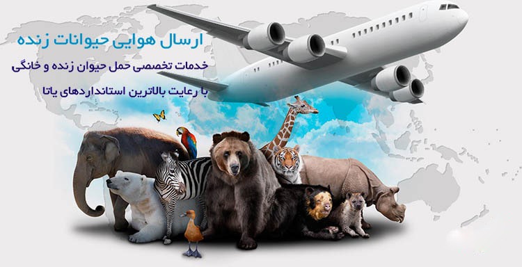 ارسال هوایی حیوانات زنده به خارج از ایران